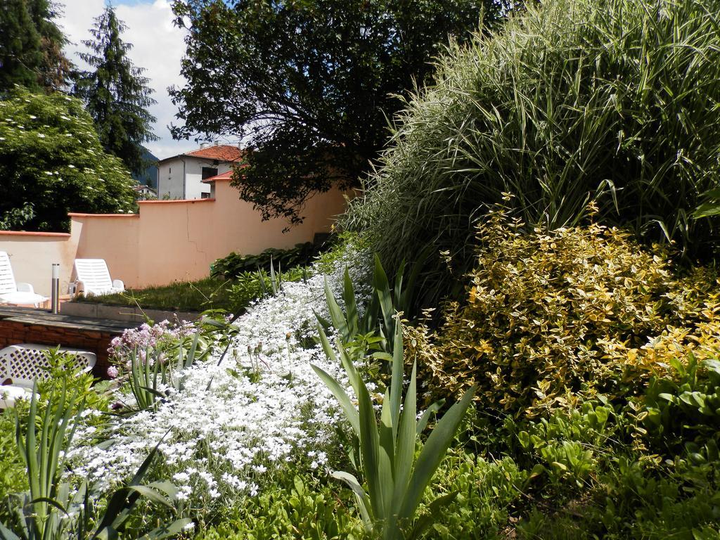 Guest House Zora Belogradchik Exterior photo